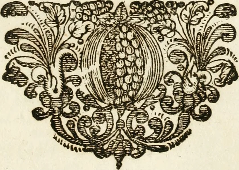 An illustration from Architectura curiosa nova, exponens 1. Fundamenta hydragogica, indolemq[ue] aquæ, aëris interventu in altum levandæ. 2. Varios aquarum ac salientium fontium lusus per varia spectatu jucunda epistomiorum seu siphonum genera. 3. Magnum amnissimorum fontium, machinarumq[ue] aquæductoriarum sumtu magno exstructarum, ac per Italiam, Britanniam, Germaniam &c. visendarum, numerum. 4. Specus artificiales sumtuosissimas, cum plerisq[ue] principum europæorum palatiis, hortis, aulis; nec non præcipuis monasteriis atq[ue] arcibus. 5. Cum auctario figurarum elegantissimarum, ad hortorum topiaria vario ductù dividenda, nec non conclavium laquearibus ac pavimentis segmentandis, itemq[ue] labyrinthis construendis, adhibendarum. Omnia 200 æri incisis... descripta, 1664, leaf 162