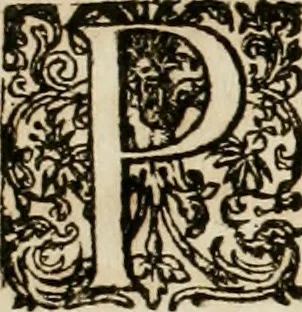 An illustration from Architectura curiosa nova, exponens 1. Fundamenta hydragogica, indolemq[ue] aquæ, aëris interventu in altum levandæ. 2. Varios aquarum ac salientium fontium lusus per varia spectatu jucunda epistomiorum seu siphonum genera. 3. Magnum amnissimorum fontium, machinarumq[ue] aquæductoriarum sumtu magno exstructarum, ac per Italiam, Britanniam, Germaniam &c. visendarum, numerum. 4. Specus artificiales sumtuosissimas, cum plerisq[ue] principum europæorum palatiis, hortis, aulis; nec non præcipuis monasteriis atq[ue] arcibus. 5. Cum auctario figurarum elegantissimarum, ad hortorum topiaria vario ductù dividenda, nec non conclavium laquearibus ac pavimentis segmentandis, itemq[ue] labyrinthis construendis, adhibendarum. Omnia 200 æri incisis... descripta, 1664, leaf 17