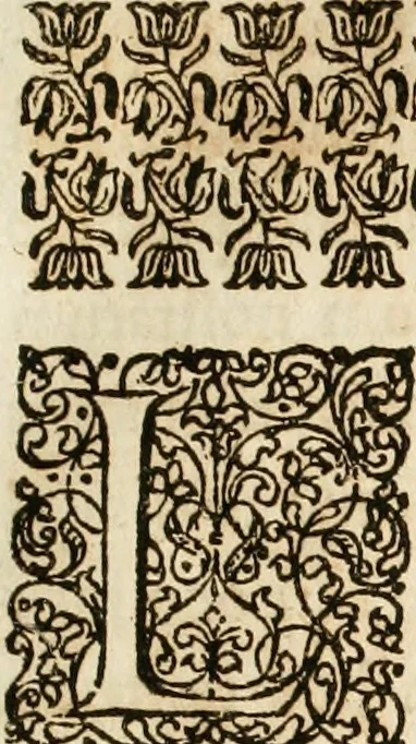 An illustration from Architectura curiosa nova, exponens 1. Fundamenta hydragogica, indolemq[ue] aquæ, aëris interventu in altum levandæ. 2. Varios aquarum ac salientium fontium lusus per varia spectatu jucunda epistomiorum seu siphonum genera. 3. Magnum amnissimorum fontium, machinarumq[ue] aquæductoriarum sumtu magno exstructarum, ac per Italiam, Britanniam, Germaniam &c. visendarum, numerum. 4. Specus artificiales sumtuosissimas, cum plerisq[ue] principum europæorum palatiis, hortis, aulis; nec non præcipuis monasteriis atq[ue] arcibus. 5. Cum auctario figurarum elegantissimarum, ad hortorum topiaria vario ductù dividenda, nec non conclavium laquearibus ac pavimentis segmentandis, itemq[ue] labyrinthis construendis, adhibendarum. Omnia 200 æri incisis... descripta, 1664, leaf 18