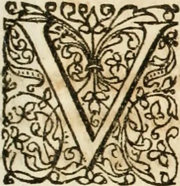 An illustration from Architectura curiosa nova, exponens 1. Fundamenta hydragogica, indolemq[ue] aquæ, aëris interventu in altum levandæ. 2. Varios aquarum ac salientium fontium lusus per varia spectatu jucunda epistomiorum seu siphonum genera. 3. Magnum amnissimorum fontium, machinarumq[ue] aquæductoriarum sumtu magno exstructarum, ac per Italiam, Britanniam, Germaniam &c. visendarum, numerum. 4. Specus artificiales sumtuosissimas, cum plerisq[ue] principum europæorum palatiis, hortis, aulis; nec non præcipuis monasteriis atq[ue] arcibus. 5. Cum auctario figurarum elegantissimarum, ad hortorum topiaria vario ductù dividenda, nec non conclavium laquearibus ac pavimentis segmentandis, itemq[ue] labyrinthis construendis, adhibendarum. Omnia 200 æri incisis... descripta, 1664, leaf 20