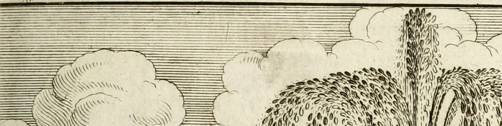 An illustration from Architectura curiosa nova, exponens 1. Fundamenta hydragogica, indolemq[ue] aquæ, aëris interventu in altum levandæ. 2. Varios aquarum ac salientium fontium lusus per varia spectatu jucunda epistomiorum seu siphonum genera. 3. Magnum amnissimorum fontium, machinarumq[ue] aquæductoriarum sumtu magno exstructarum, ac per Italiam, Britanniam, Germaniam &c. visendarum, numerum. 4. Specus artificiales sumtuosissimas, cum plerisq[ue] principum europæorum palatiis, hortis, aulis; nec non præcipuis monasteriis atq[ue] arcibus. 5. Cum auctario figurarum elegantissimarum, ad hortorum topiaria vario ductù dividenda, nec non conclavium laquearibus ac pavimentis segmentandis, itemq[ue] labyrinthis construendis, adhibendarum. Omnia 200 æri incisis... descripta, 1664, leaf 210