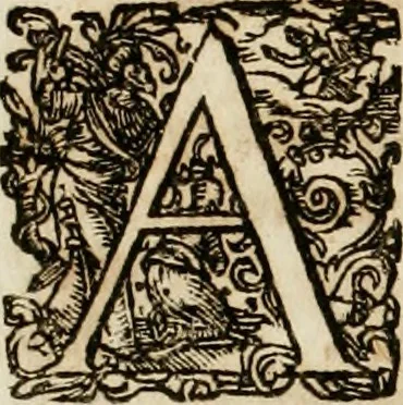 An illustration from Architectura curiosa nova, exponens 1. Fundamenta hydragogica, indolemq[ue] aquæ, aëris interventu in altum levandæ. 2. Varios aquarum ac salientium fontium lusus per varia spectatu jucunda epistomiorum seu siphonum genera. 3. Magnum amnissimorum fontium, machinarumq[ue] aquæductoriarum sumtu magno exstructarum, ac per Italiam, Britanniam, Germaniam &c. visendarum, numerum. 4. Specus artificiales sumtuosissimas, cum plerisq[ue] principum europæorum palatiis, hortis, aulis; nec non præcipuis monasteriis atq[ue] arcibus. 5. Cum auctario figurarum elegantissimarum, ad hortorum topiaria vario ductù dividenda, nec non conclavium laquearibus ac pavimentis segmentandis, itemq[ue] labyrinthis construendis, adhibendarum. Omnia 200 æri incisis... descripta, 1664, leaf 23