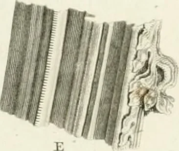 An illustration from The architectural antiquities of Great Britain : represented and illustrated in a series of views, elevations, plans, sections, and details, of various ancient English edifices : with historical and descriptive accounts of each, 1807, leaf 169
