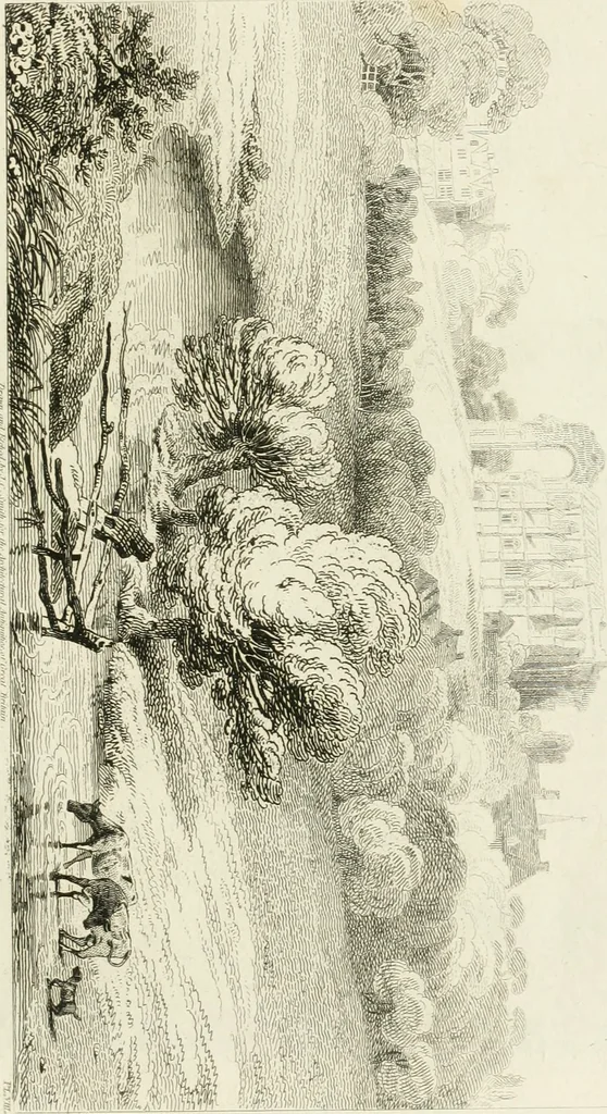An illustration from The architectural antiquities of Great Britain : represented and illustrated in a series of views, elevations, plans, sections, and details, of various ancient English edifices : with historical and descriptive accounts of each, 1807, leaf 234