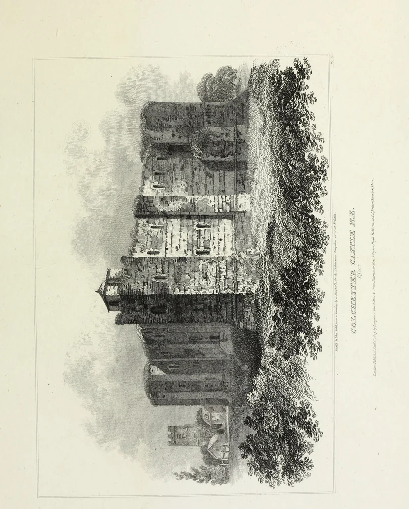 An illustration from The architectural antiquities of Great Britain, represented and illustrated in a series of views, elevations, plans, sections, and details, of various ancient English edifices : with historical and descriptive accounts of each, 1807, leaf 302