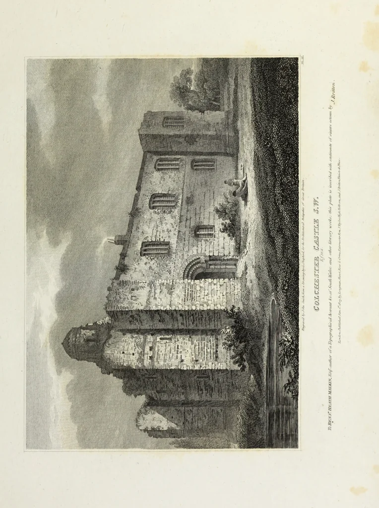 An illustration from The architectural antiquities of Great Britain, represented and illustrated in a series of views, elevations, plans, sections, and details, of various ancient English edifices : with historical and descriptive accounts of each, 1807, leaf 304