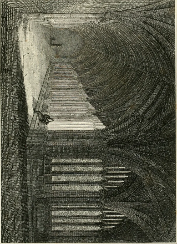 An illustration from The architectural antiquities of Great Britain : represented and illustrated in a series of views, elevations, plans, sections, and details, of various ancient English edifices : with historical and descriptive accounts of each, 1807, leaf 260