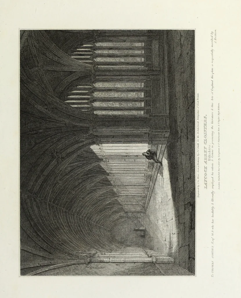 An illustration from The architectural antiquities of Great Britain, represented and illustrated in a series of views, elevations, plans, sections, and details, of various ancient English edifices : with historical and descriptive accounts of each, 1807, leaf 260