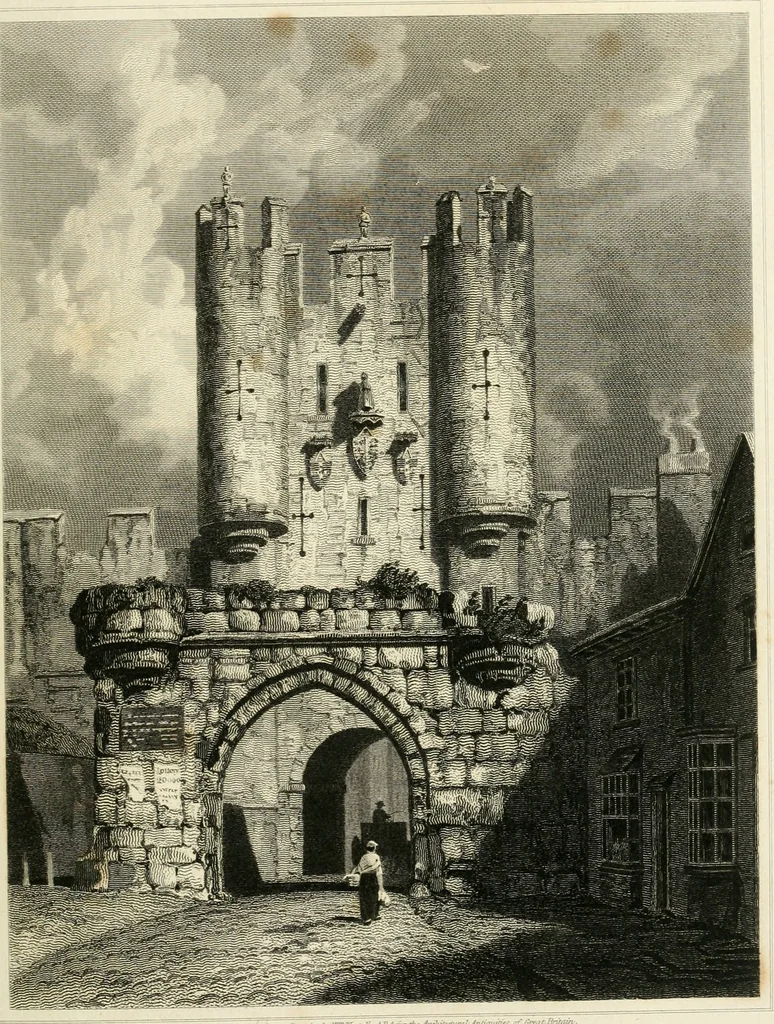 An illustration from The architectural antiquities of Great Britain : represented and illustrated in a series of views, elevations, plans, sections, and details, of various ancient English edifices : with historical and descriptive accounts of each, 1807, leaf 214