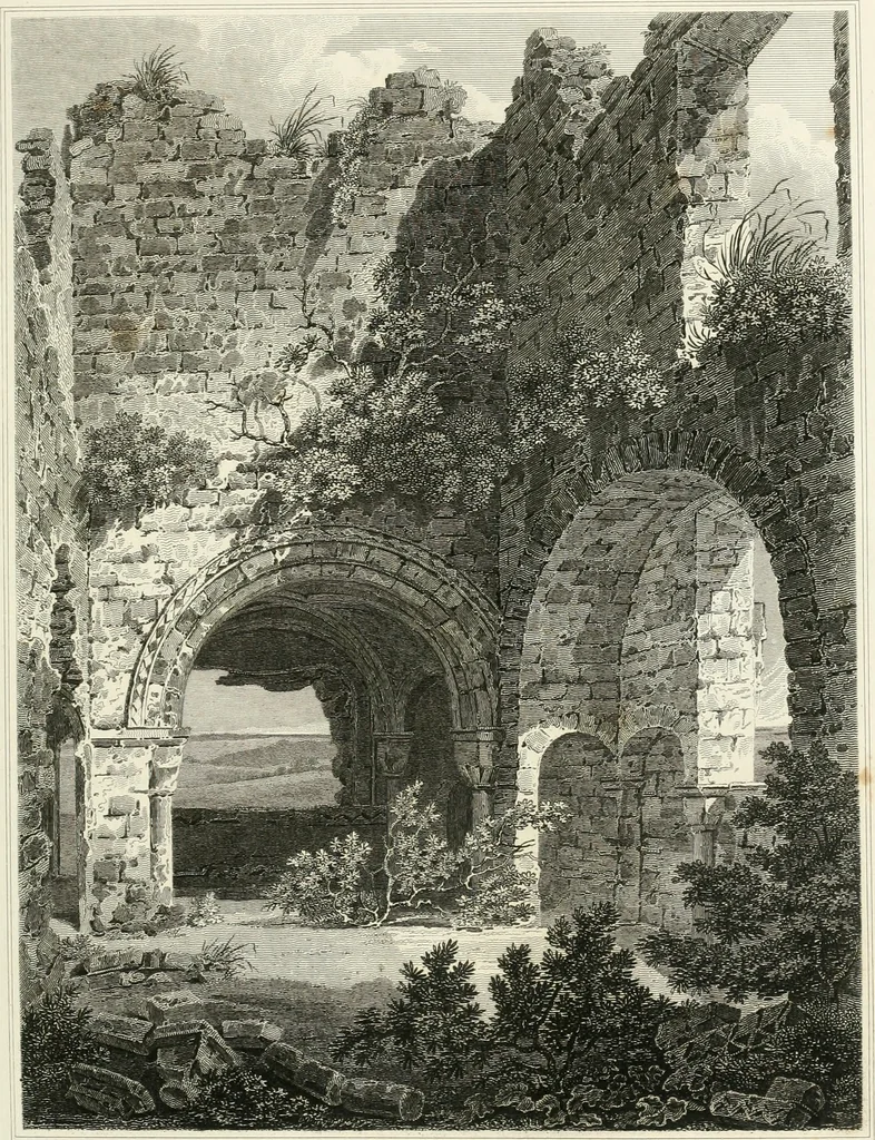 An illustration from The architectural antiquities of Great Britain : represented and illustrated in a series of views, elevations, plans, sections, and details, of various ancient English edifices : with historical and descriptive accounts of each, 1807, leaf 274