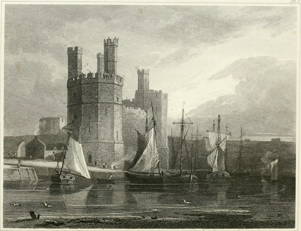 An illustration from The architectural antiquities of Great Britain : represented and illustrated in a series of views, elevations, plans, sections, and details, of various ancient English edifices : with historical and descriptive accounts of each, 1807, leaf 285