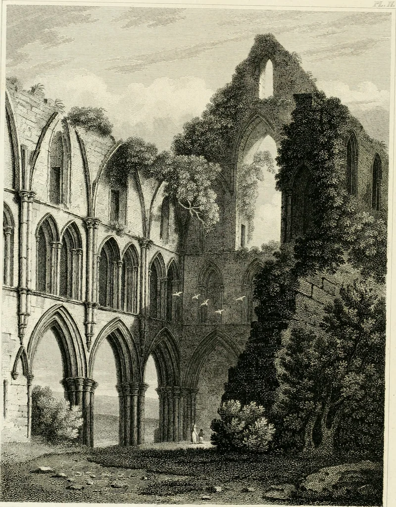 An illustration from The architectural antiquities of Great Britain : represented and illustrated in a series of views, elevations, plans, sections, and details, of various ancient English edifices : with historical and descriptive accounts of each, 1807, leaf 97