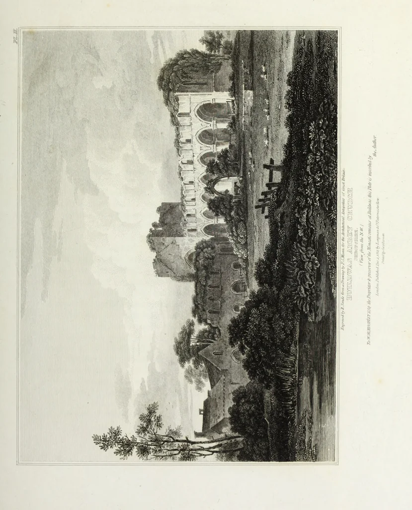 An illustration from The architectural antiquities of Great Britain, represented and illustrated in a series of views, elevations, plans, sections, and details, of various ancient English edifices : with historical and descriptive accounts of each, 1807, leaf 110