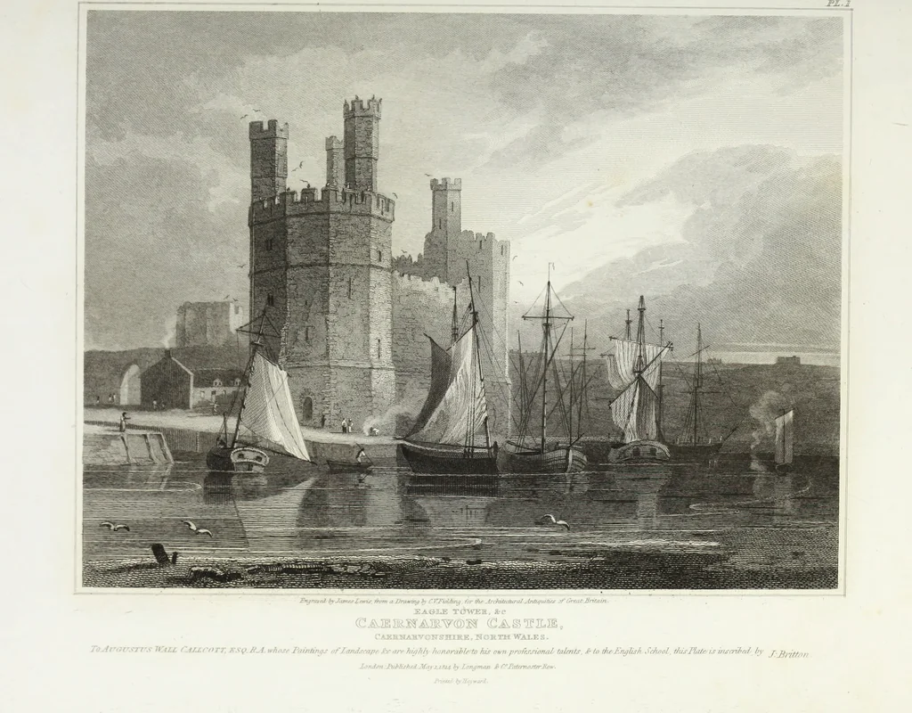 An illustration from The architectural antiquities of Great Britain, represented and illustrated in a series of views, elevations, plans, sections, and details, of various ancient English edifices : with historical and descriptive accounts of each, 1807, leaf 290