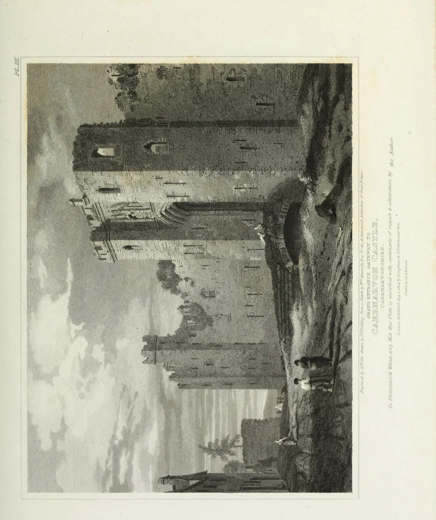 An illustration from The architectural antiquities of Great Britain, represented and illustrated in a series of views, elevations, plans, sections, and details, of various ancient English edifices : with historical and descriptive accounts of each, 1807, leaf 294