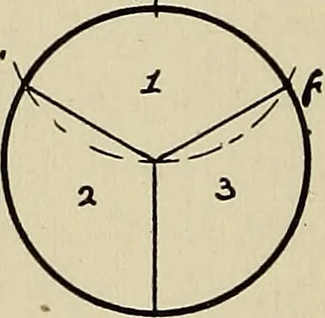 An illustration from Architectural drawing : a textbook that combines the parctical instructions and examples that the student needs, with the suggestive programs, supplementary problems, etc, required by the teacher, written by an architect of wide experience who has also taught the subject for years at Teachers' College, Columbia University, and Mechanics' Institute, New York, 1920, leaf 137