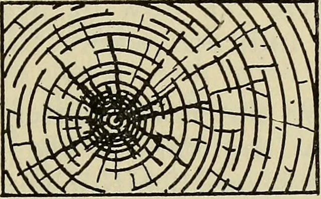 An illustration from Architectural drawing : a textbook that combines the parctical instructions and examples that the student needs, with the suggestive programs, supplementary problems, etc, required by the teacher, written by an architect of wide experience who has also taught the subject for years at Teachers' College, Columbia University, and Mechanics' Institute, New York, 1920, leaf 48