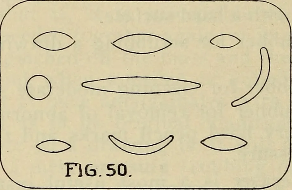 An illustration from Architectural drawing : a textbook that combines the parctical instructions and examples that the student needs, with the suggestive programs, supplementary problems, etc, required by the teacher, written by an architect of wide experience who has also taught the subject for years at Teachers' College, Columbia University, and Mechanics' Institute, New York, 1920, leaf 75