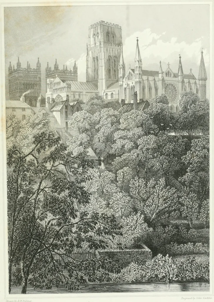 An illustration from Architectural illustrations and description of the cathedral church at Durham, 1843, leaf 124