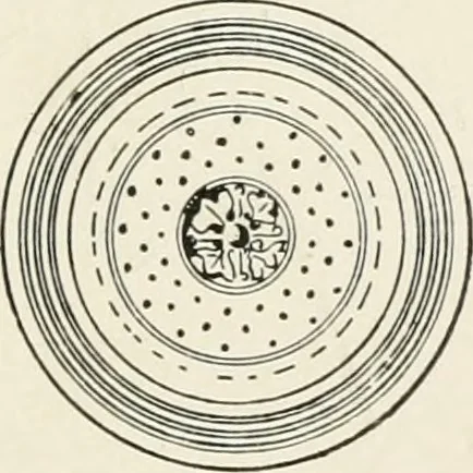 An illustration from Architectural iron and steel : and its application in the construction of buildings, including beams and girders in floor construction, rolled iron struts, wrought and cast-iron columns, fire-proof columns, column connections, cast-iron lintels, roof trusses, stairways, elevator enclosures, ornamental iron, floor lights, and skylights, vault lights, doors, and shutters, window guards and grilles, etc., etc., with specification of ironwork and selected papers in relation to ironwork, from a revision of the present law before the legislature affecting public interests in the city of New York, in so far as the same regulates the construction of buildings in said city, tables selected expressly for this work, of the properties of beams, channels, tees and angles, used as beams, struts and columns, weights of iron and steel bars, capacity of tanks, areas of circles, weights of circular and square cast-iron columns, weights of substances, tables of squares, cubes, etc., weights of sheet copper, brass and iron, etc, 1892, leaf 158