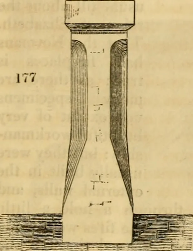 An illustration from The Architectural magazine, 1834, leaf 358
