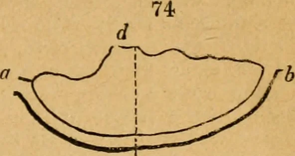 An illustration from The Architectural magazine, 1834, leaf 192