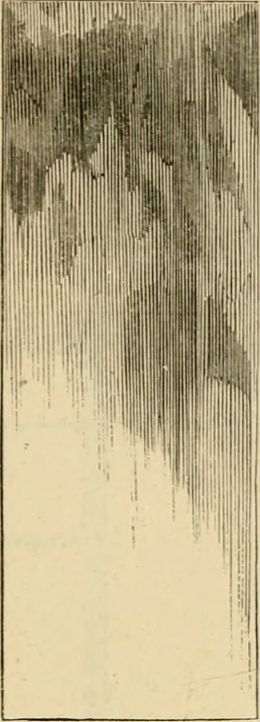 An illustration from The Architectural magazine, 1834, leaf 614