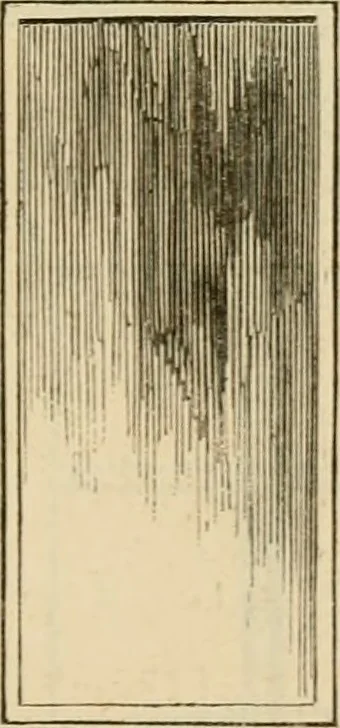An illustration from The Architectural magazine, 1834, leaf 614