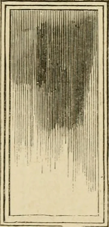 An illustration from The Architectural magazine, 1834, leaf 614