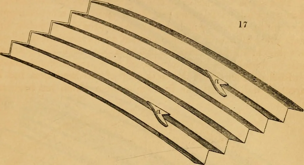 An illustration from The Architectural magazine, 1834, leaf 82