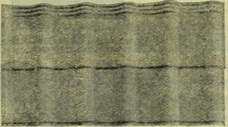 An illustration from Architectural metal work : manufactured by W.H. Mullins, Salem, Ohio, U.S.A, 1897, leaf 48