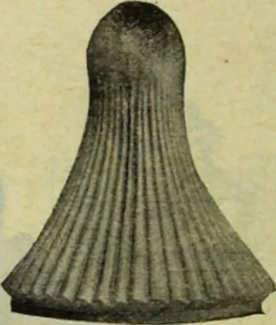 An illustration from Architectural metal work : manufactured by W.H. Mullins, Salem, Ohio, U.S.A, 1897, leaf 49