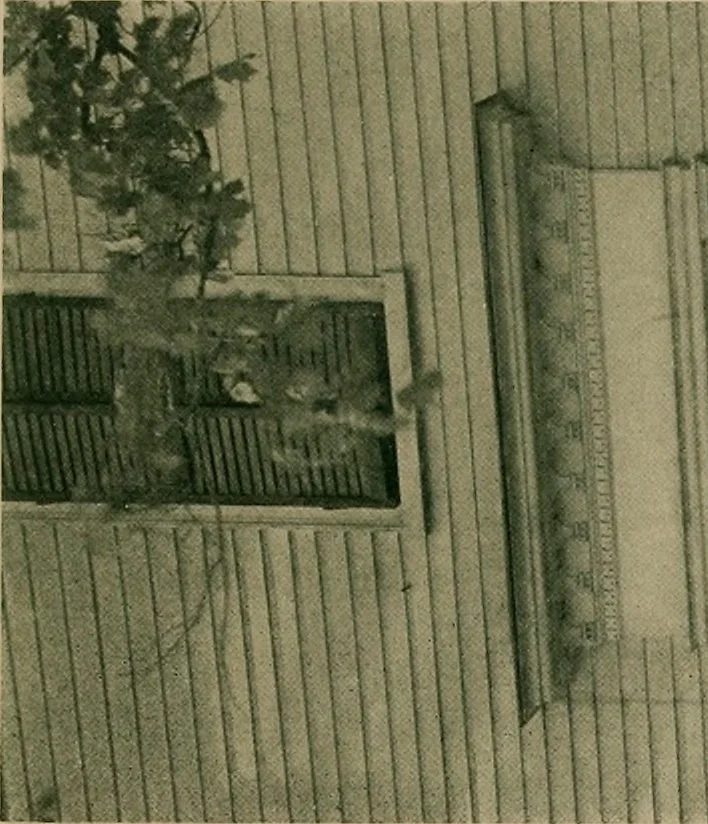 An illustration from An architectural monograph devoted to a comparative study of a group of early American doorways,, 1921, leaf 8