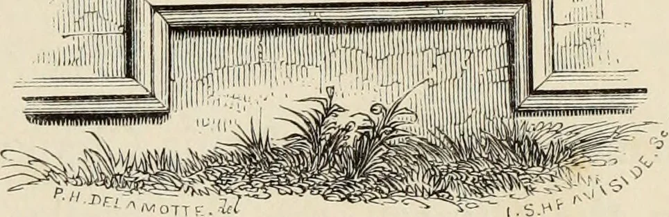 An illustration from Architectural notices of the churches of the Archdeaconry of Northampton. Deaneries of Higham Ferrers and Haddon, 1849, leaf 116