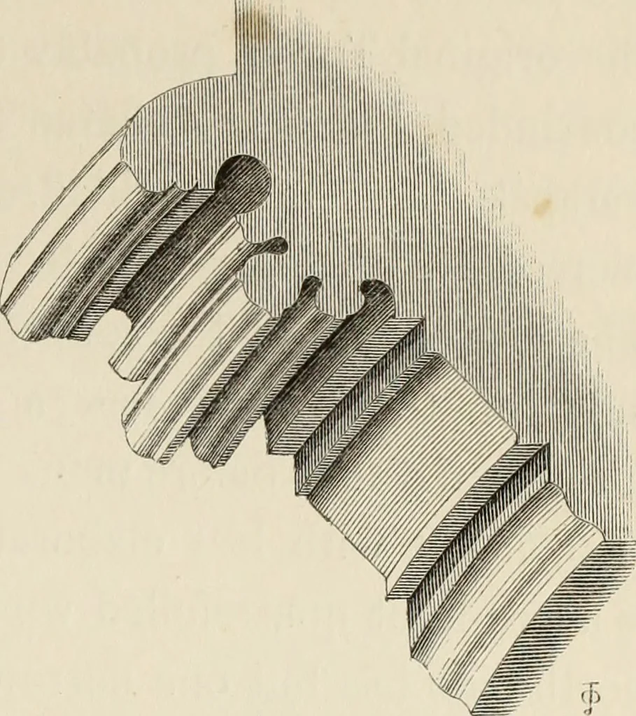 An illustration from Architectural notices of the churches of the Archdeaconry of Northampton. Deaneries of Higham Ferrers and Haddon, 1849, leaf 138