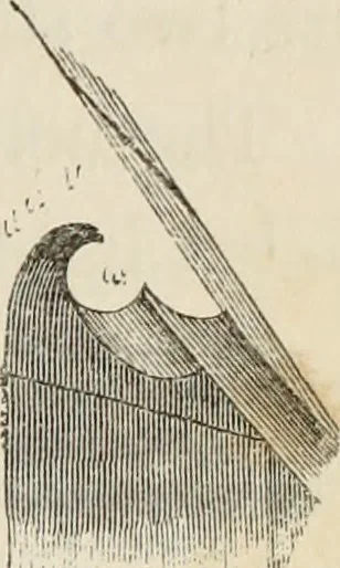 An illustration from Architectural notices of the churches of the Archdeaconry of Northampton. Deaneries of Higham Ferrers and Haddon, 1849, leaf 30