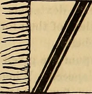 An illustration from The Architectural review and American builders' journal, 1869, leaf 144