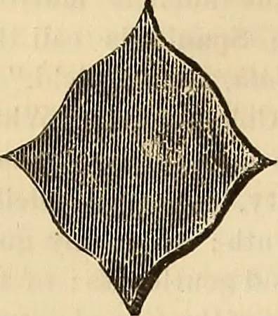 An illustration from The Architectural review and American builders' journal, 1869, leaf 325