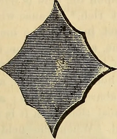 An illustration from The Architectural review and American builders' journal, 1869, leaf 326