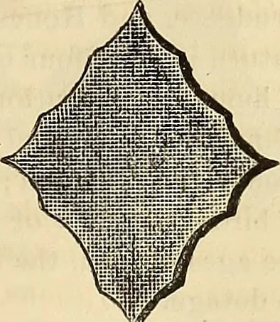 An illustration from The Architectural review and American builders' journal, 1869, leaf 326