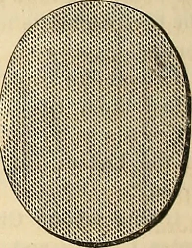 An illustration from The Architectural review and American builders' journal, 1869, leaf 329