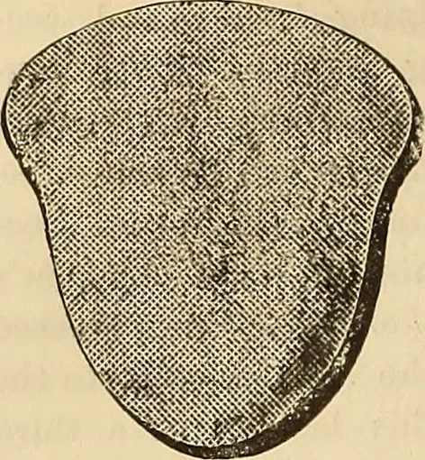 An illustration from The Architectural review and American builders' journal, 1869, leaf 331