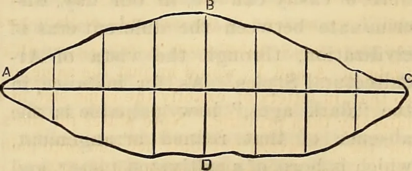 An illustration from The Architectural review and American builders' journal, 1869, leaf 336