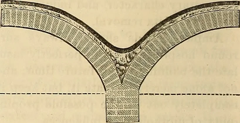 An illustration from The Architectural review and American builders' journal, 1869, leaf 587
