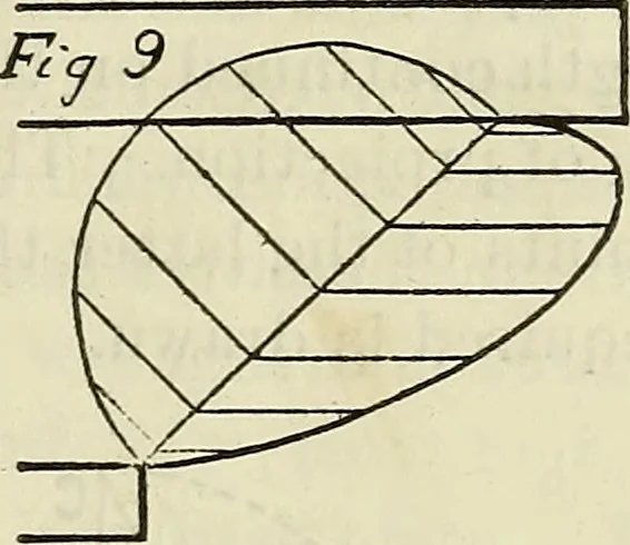 An illustration from The Architectural review and American builders' journal, 1869, leaf 246