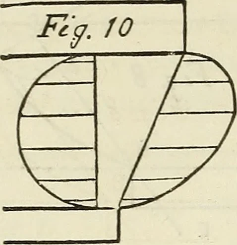 An illustration from The Architectural review and American builders' journal, 1869, leaf 247