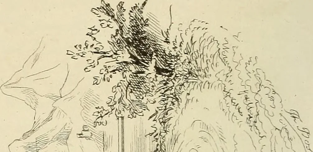 An illustration from The Architectural review and American builders' journal, 1869, leaf 439