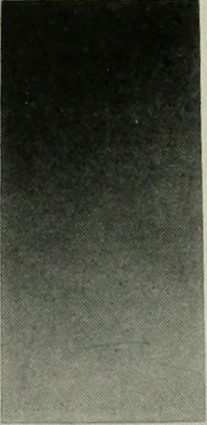 An illustration from The Architectural year book, University of Illinois, 1911, leaf 43