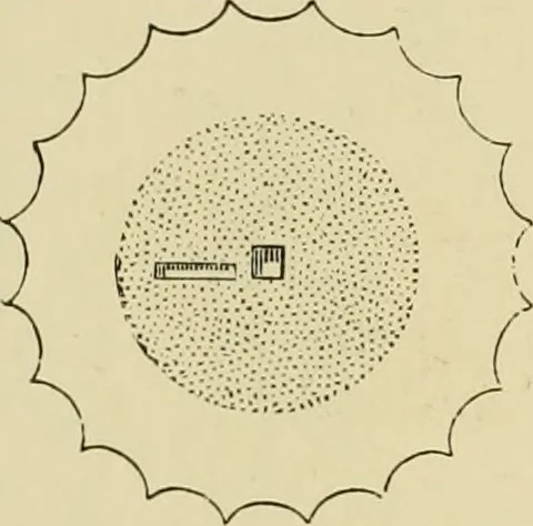 An illustration from Architecture, classic and early Christian, 1888, leaf 121
