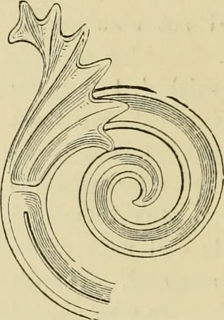 An illustration from Architecture, classic and early Christian, 1888, leaf 155